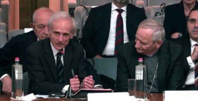 Farnesina - 2024 dicembre 11 (26)